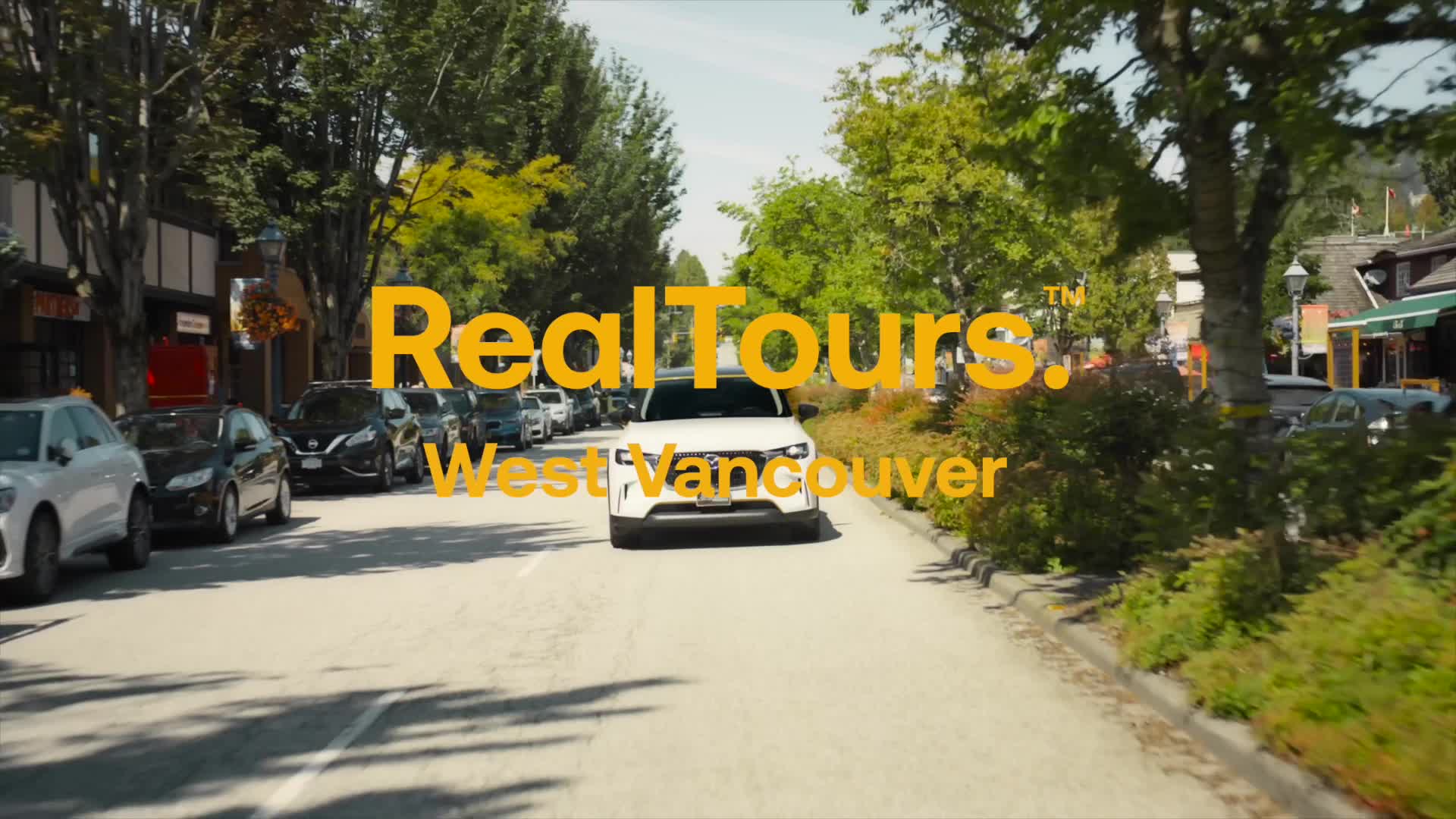 Video placeholder image